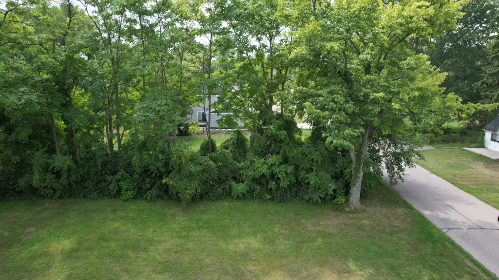 Picture 3