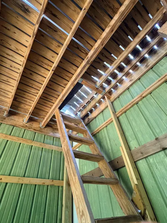 Picture 45