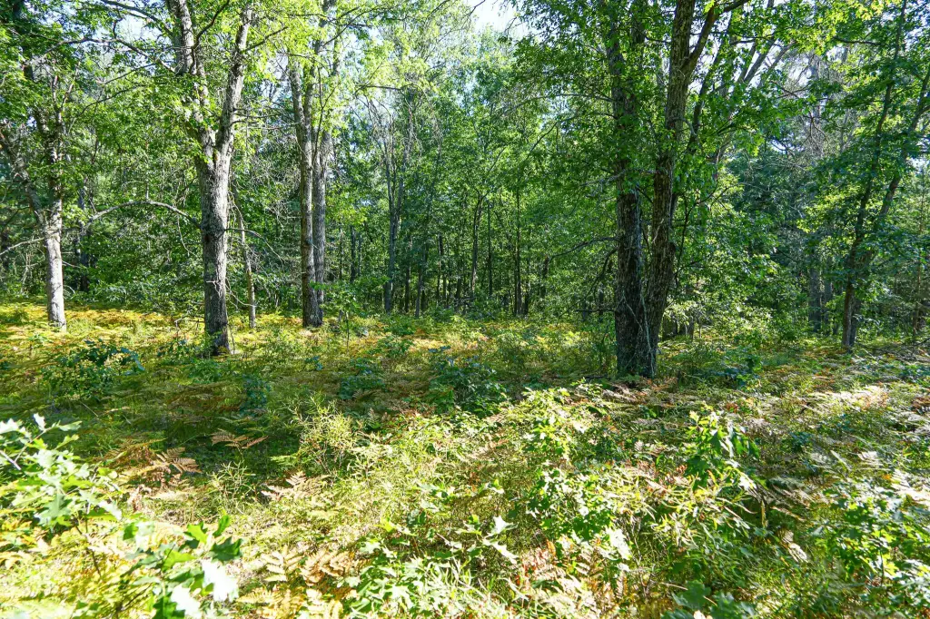 Picture 27