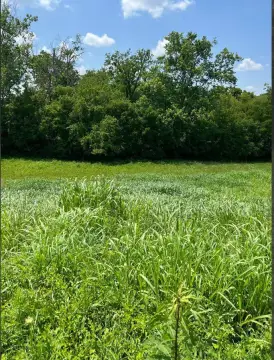 Picture of Residential land & home lots at 128 Oak View Drive, Mt Sterling, KY