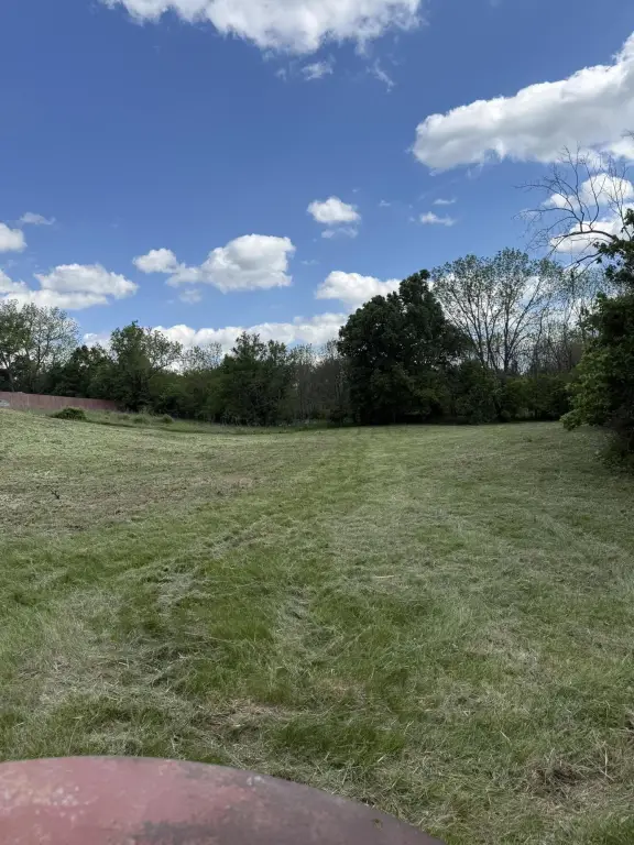 Picture 6