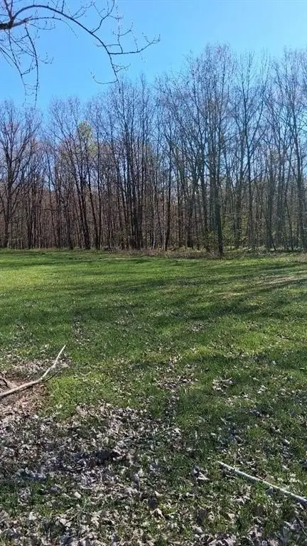 Picture 8