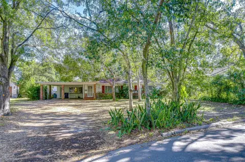 Oversized Lot in Sunset Park