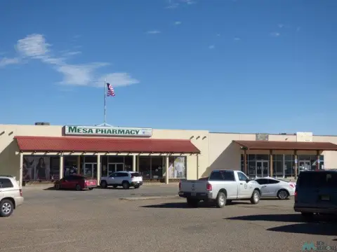Shopping Center with Retail Spaces
