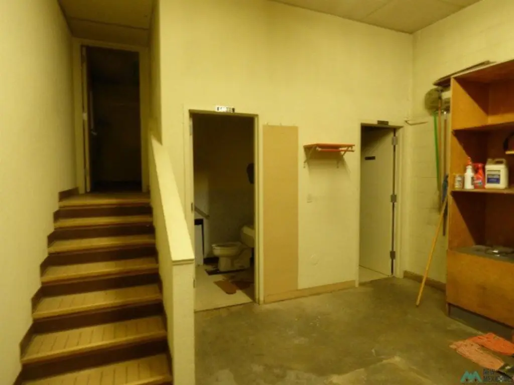 Picture 8