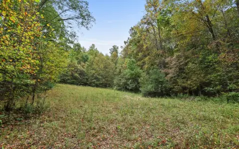 Suches, Georgia 60-Acre Homestead Land