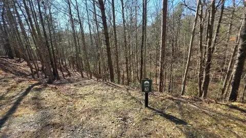 Ellijay, GA Vacant Wooded Lot