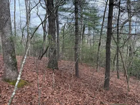 Picture of Residential land & home lots at Lot 13 Frances Drive, Ellijay, GA