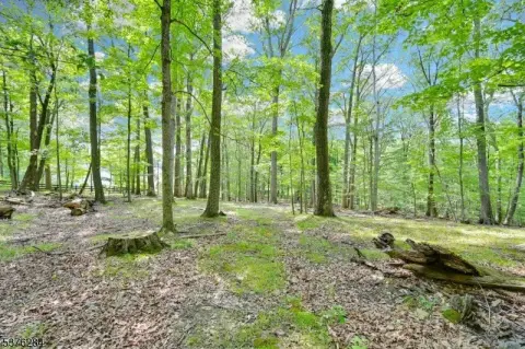 Wooded Land in Fredon Township
