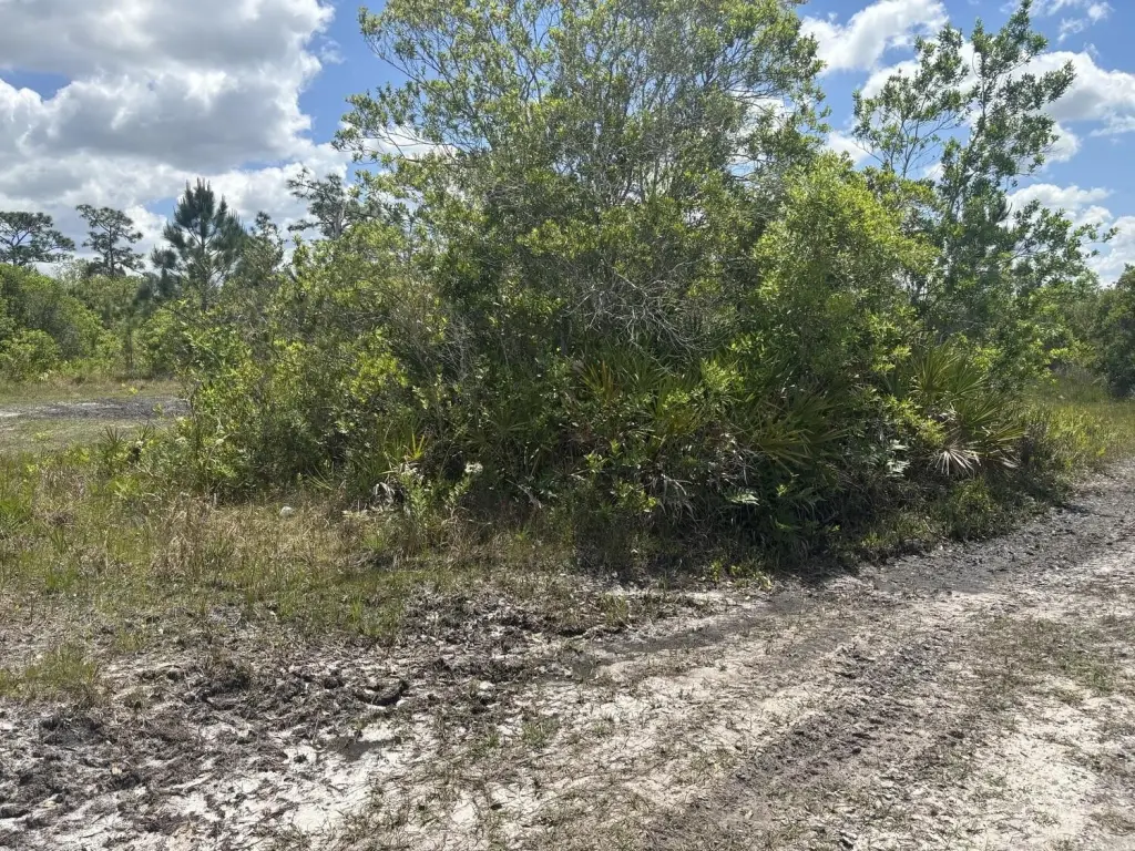 Picture 2