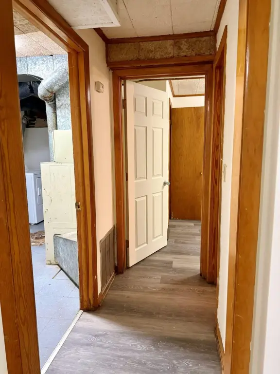 Picture 27