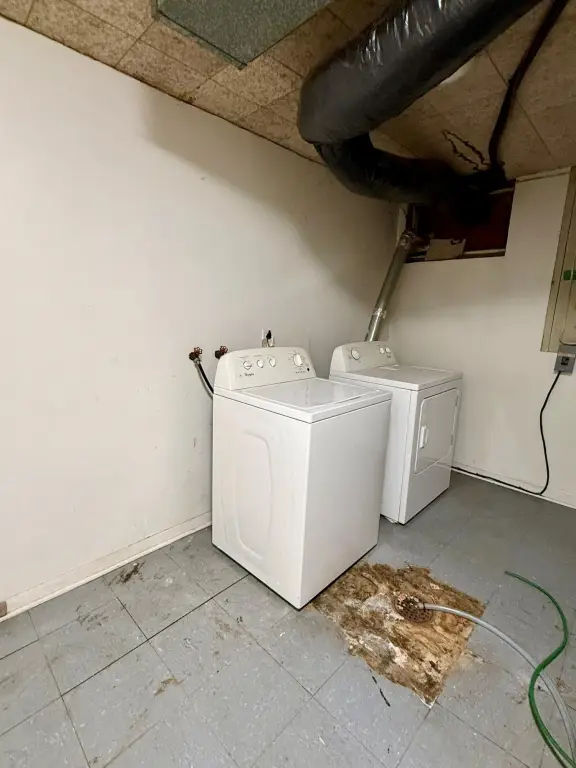 Picture 25
