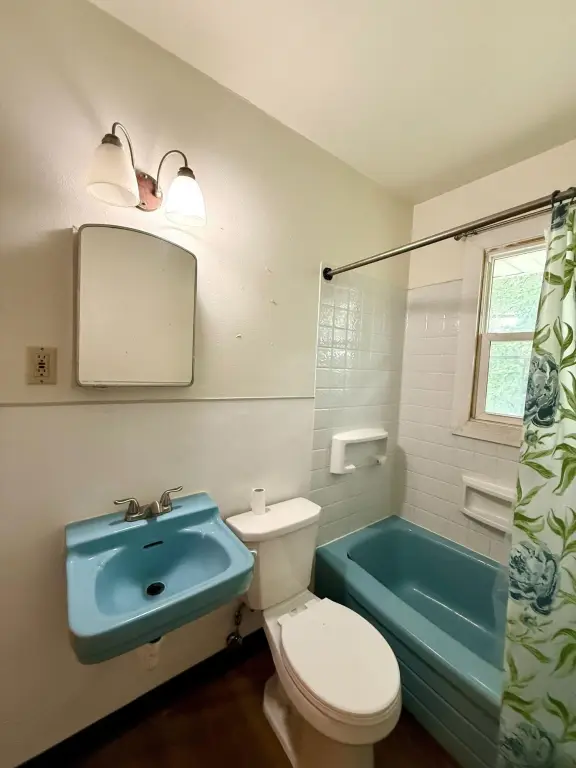 Picture 15