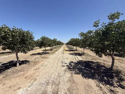 Picture of Farms at Road 30, Alpaugh, CA
