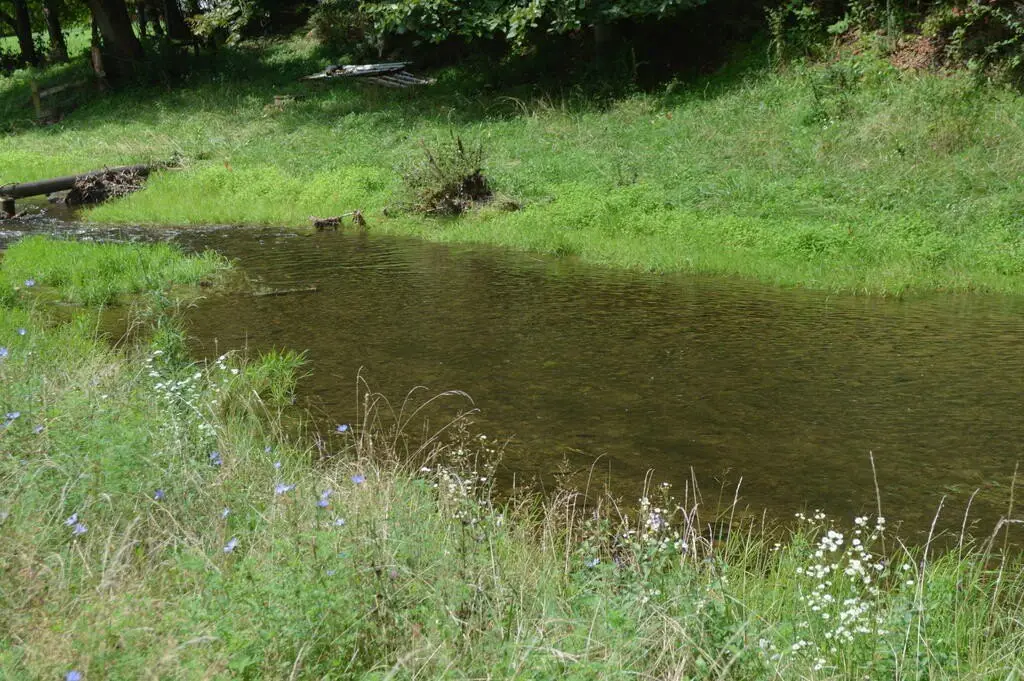Picture 3