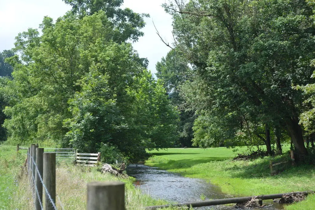 Picture 28