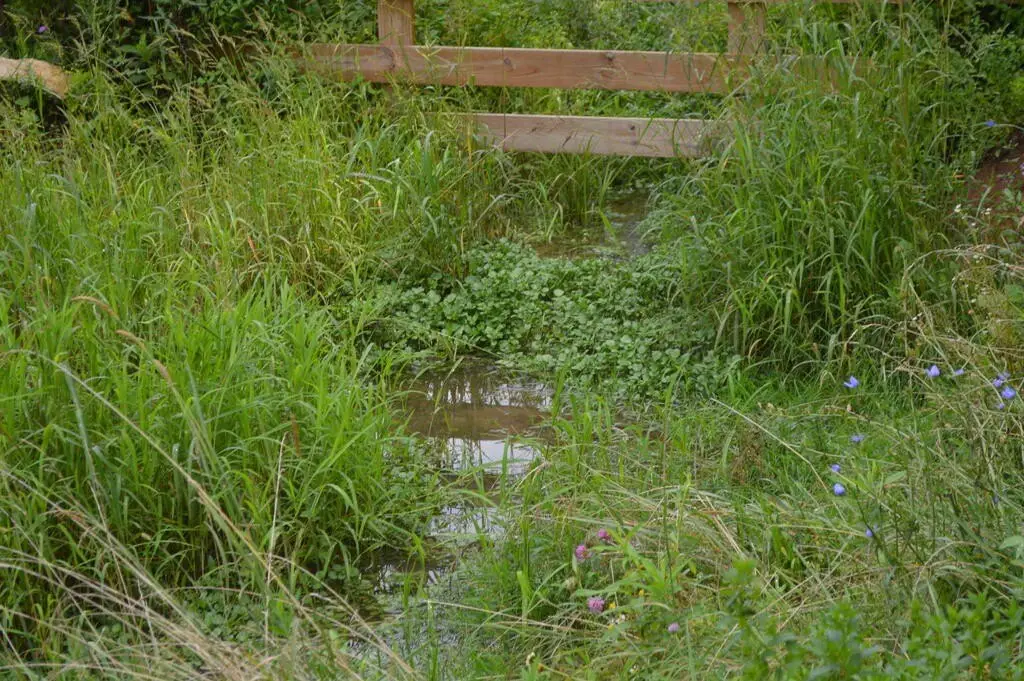 Picture 4