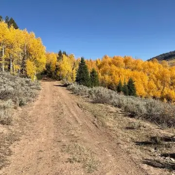 40 Acres of Wyoming Land