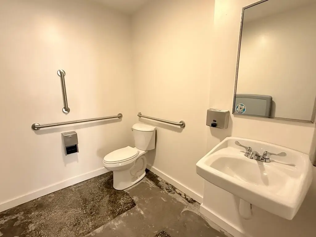 Picture 7