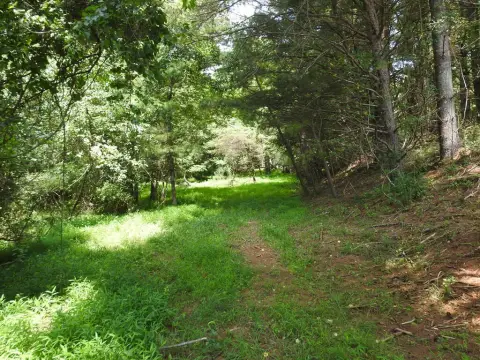 Wooded Land Parcel