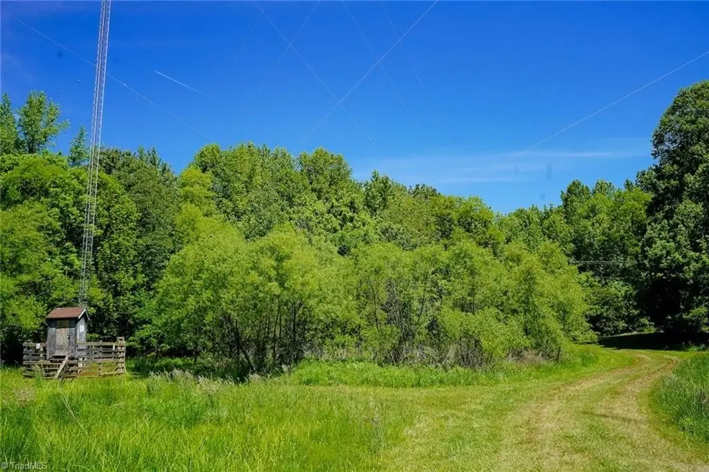 Picture 16