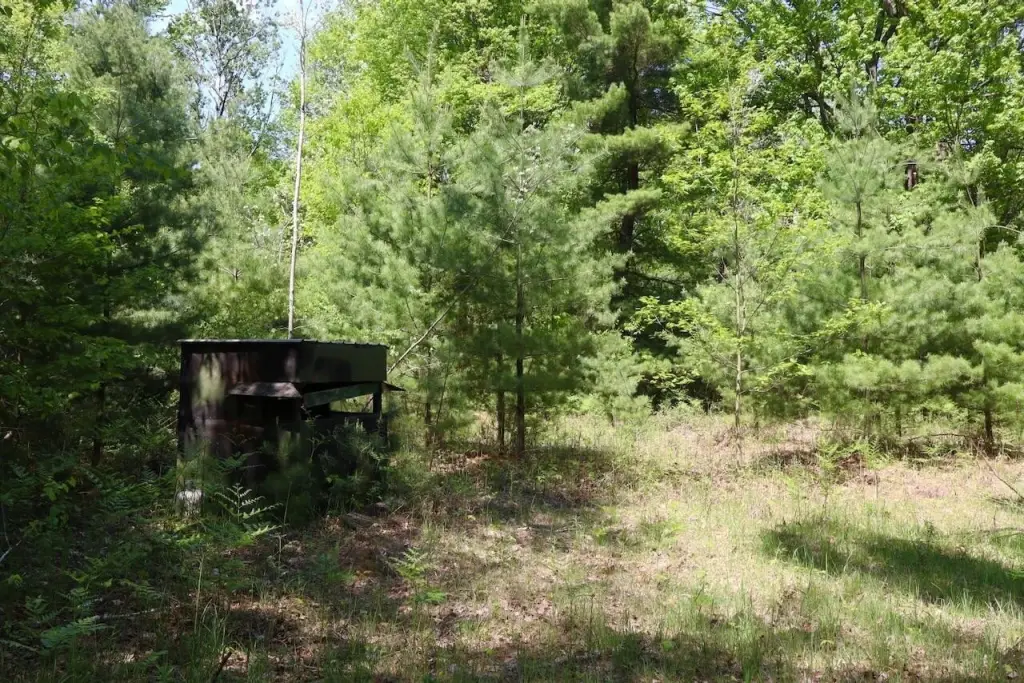 Picture 15