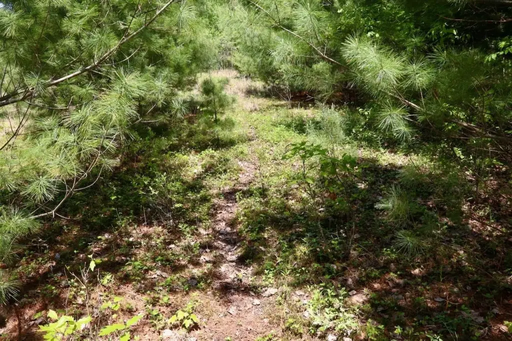 Picture 40