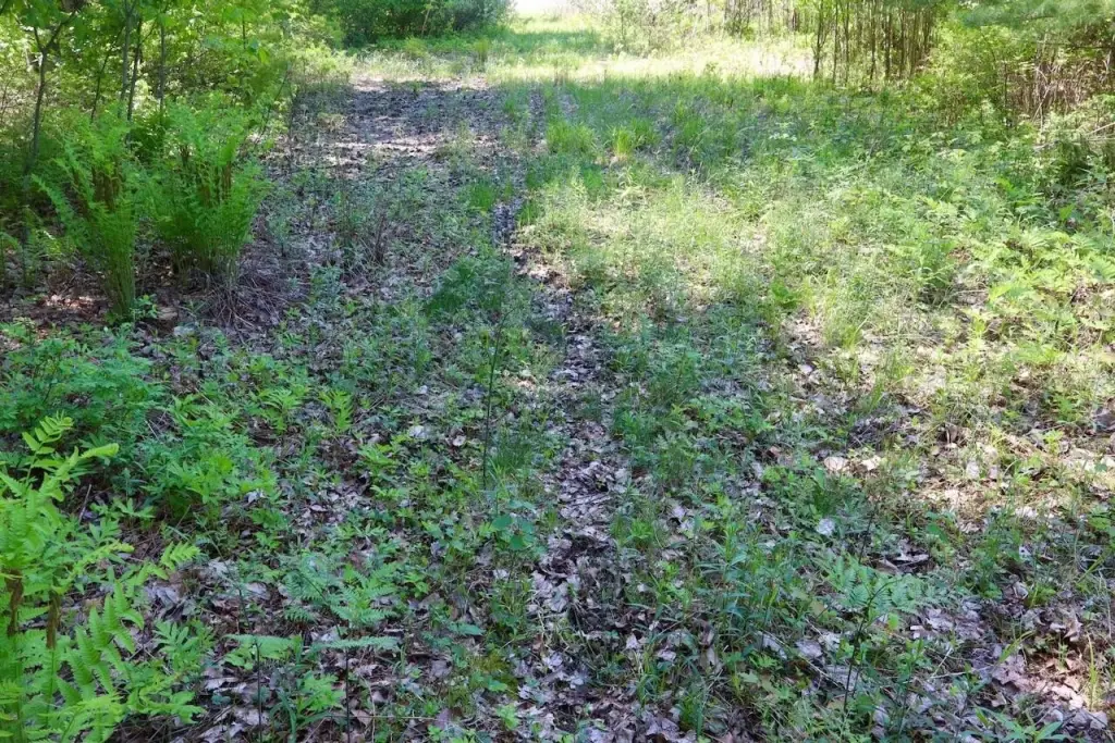 Picture 12