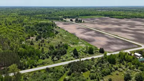 Agricultural Land with Wooded Acreage