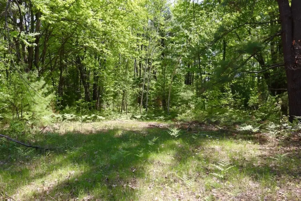 Picture 16