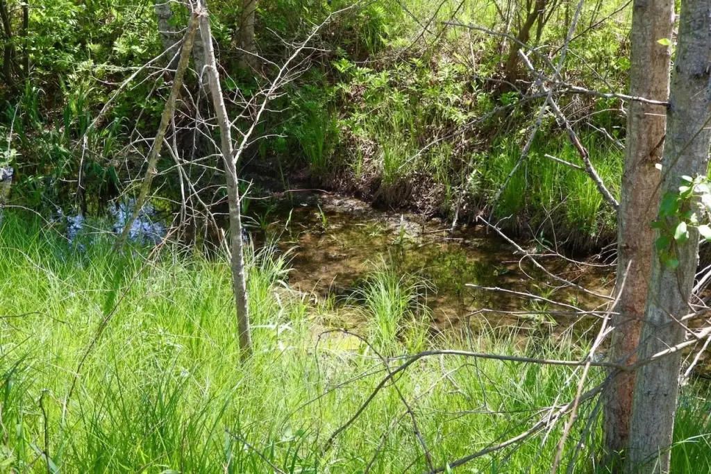 Picture 23