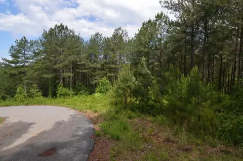 Mountain Getaway Land in Blairsville