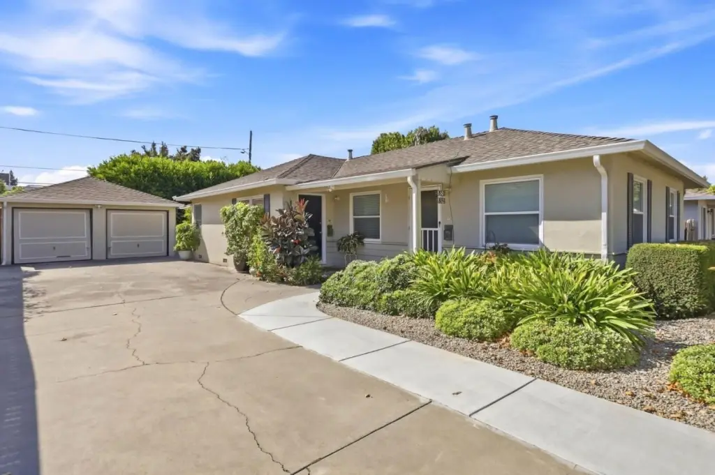 Picture 4