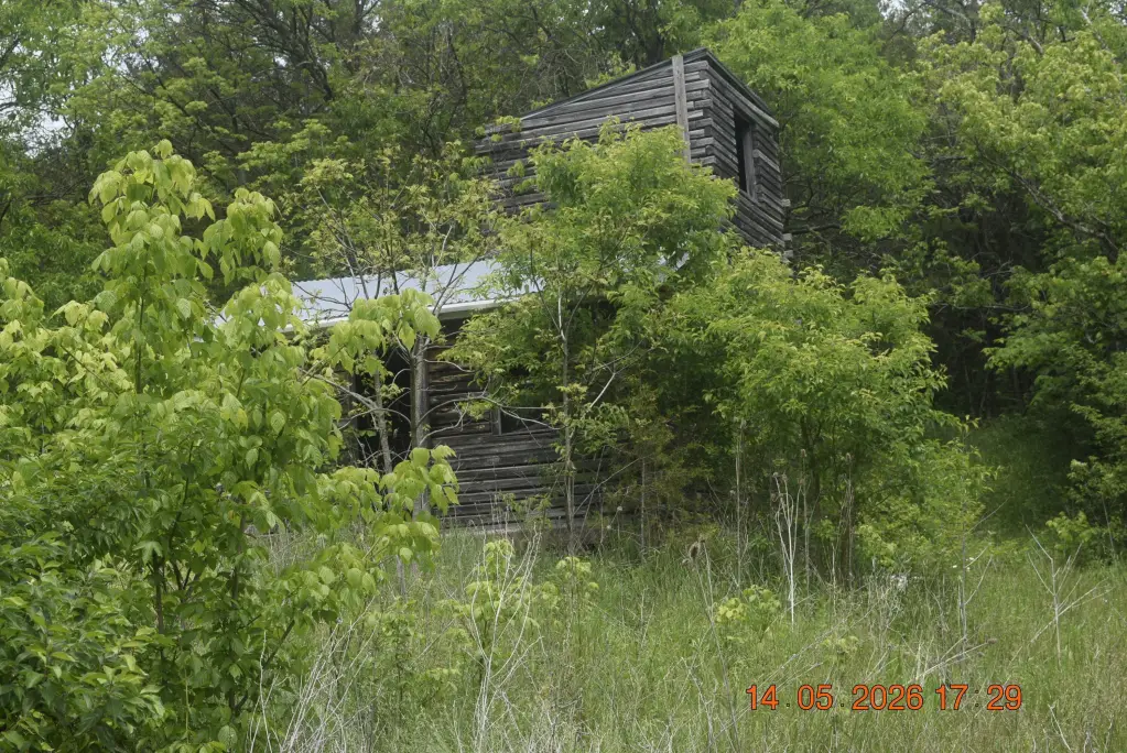 Picture 3