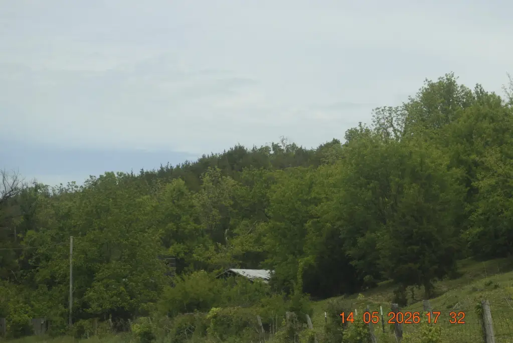 Picture 6