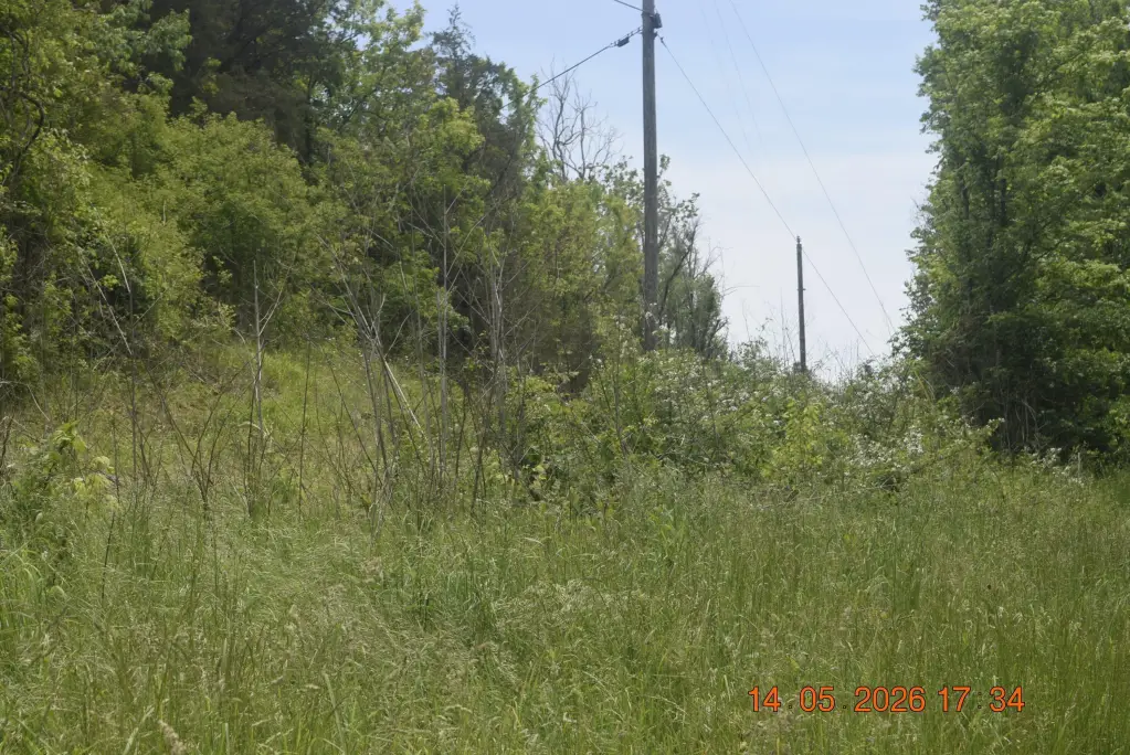 Picture 9