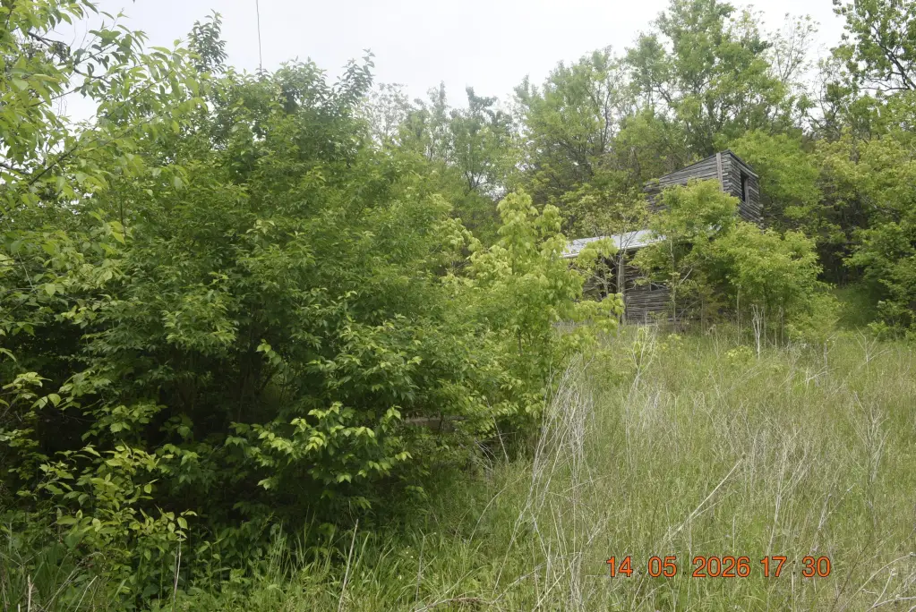 Picture 5