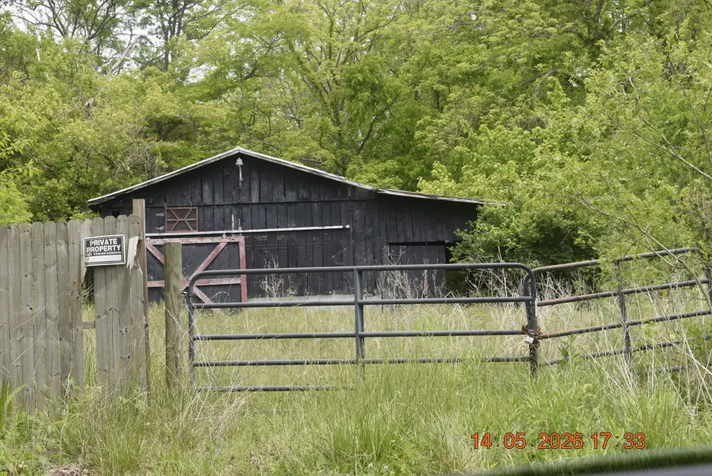 Picture 7