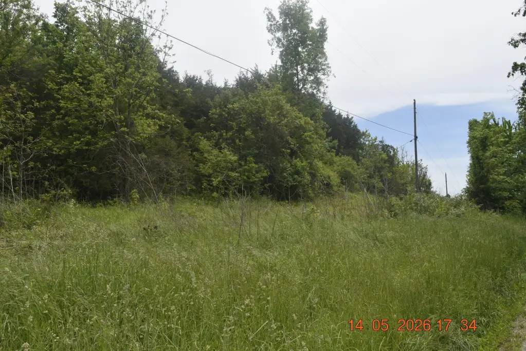 Picture 8