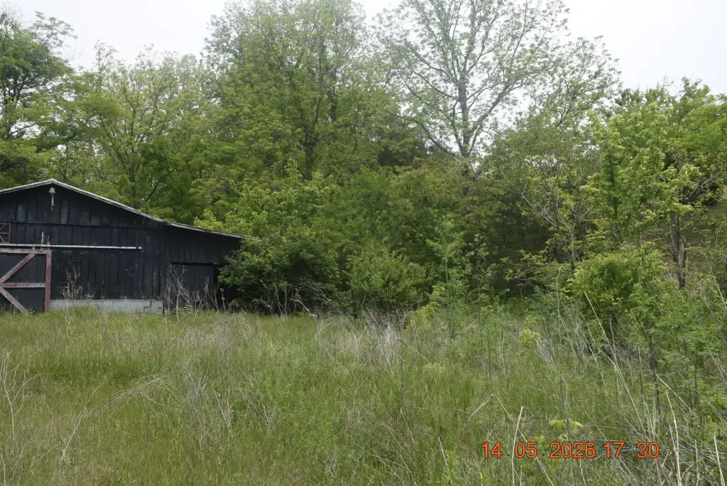 Picture 4