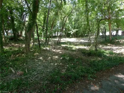 Residential Land Near Downtown