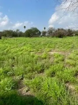 Picture of Land at Simpson Rd 000, Edinburg, TX