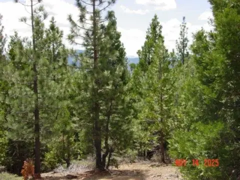 Lake Davis Residential Land Parcel