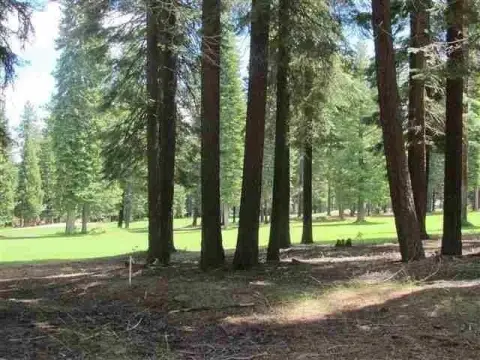 Golf Course Lot in Almanor