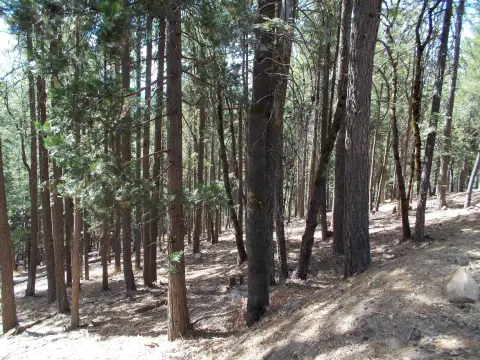 Residential Lot in Quincy, CA