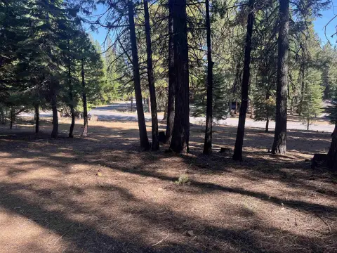 Lake Almanor West Single Family Lot