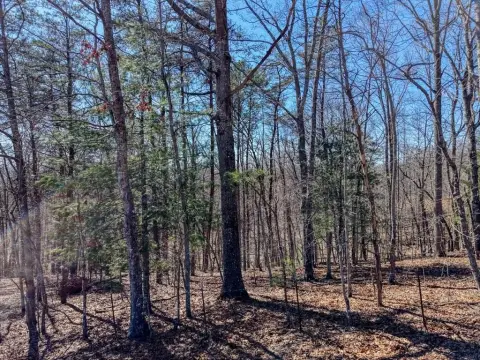 Blairsville Vacant Land Opportunity