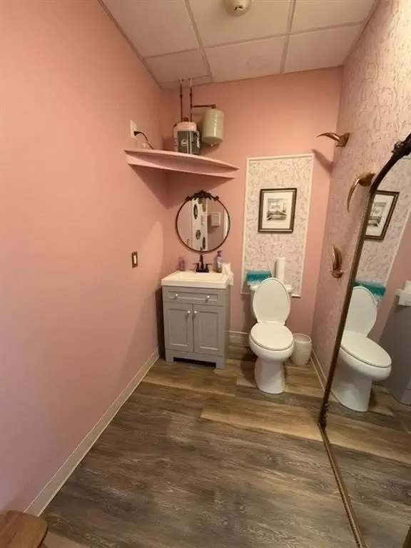 Picture 5