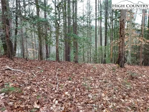 Equestrian Land with Mountain Views