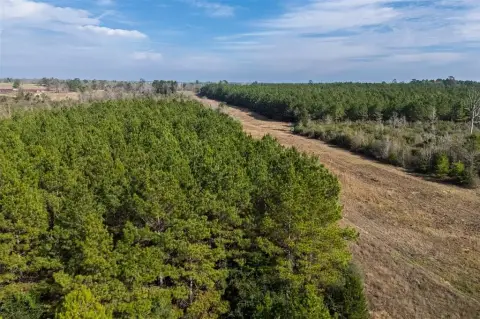 86.5 Acre East Texas Land